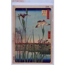 Utagawa Hiroshige, 歌川広重 (広重)による浮世絵「「名所江戸百景」「堀切☆花菖蒲」」