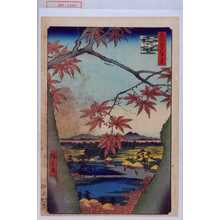 Utagawa Hiroshige: 「名所江戸百景」「真間の紅葉手こなの社継はし」 - Waseda University Theatre Museum