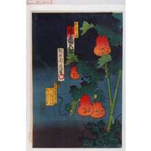 Toyohara Chikanobu: 「お岩ノ霊 尾上菊五郎」 - Waseda University Theatre Museum