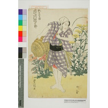 Utagawa Toyokuni I: 「紙屋治兵衛 市川団十郎」 - Waseda University Theatre Museum