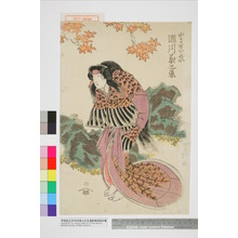 Utagawa Toyokuni I: 「山鳥せいれい 瀬川菊之丞」 - Waseda University Theatre Museum