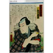 Utagawa Kunisada: 「近世水滸伝」「縞の仁三郎 市川団蔵」 - Waseda University Theatre Museum