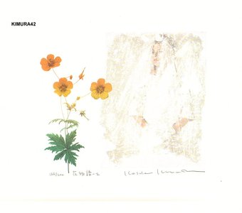 Kimura, Kosuke: Flower Story 2 - Asian Collection Internet Auction