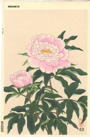 Ito, Nisaburo: Pink Peony - Asian Collection Internet Auction
