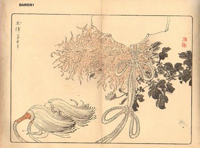 Kono Bairei: Chrysanthemum - Asian Collection Internet Auction