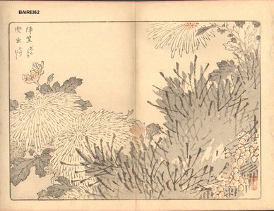 Kono Bairei: Chrysanthemum - Asian Collection Internet Auction