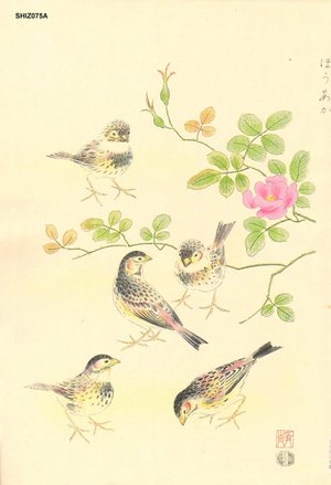 Ashikaga, Shizuo: Rosy Finch and Wild Rose - Asian Collection Internet Auction