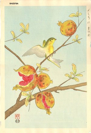 Ashikaga, Shizuo: Siskin and Pomegranet - Asian Collection Internet Auction