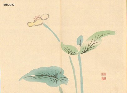 Unknown: Water plant - Asian Collection Internet Auction