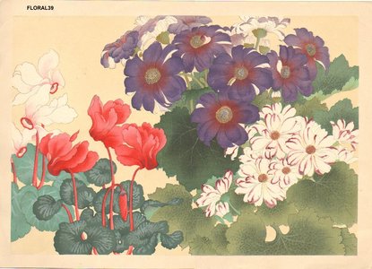 Not signed: Cyclamen and others - Asian Collection Internet Auction
