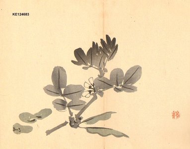 今尾景年: Broad bean flowers - Asian Collection Internet Auction