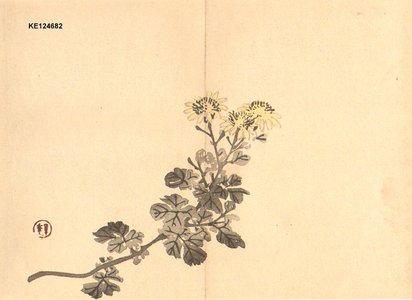 Imao Keinen: Chrysanthemums - Asian Collection Internet Auction