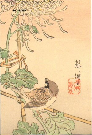 Ryusen, Komai: Sparrow and Chrysanthemum - Asian Collection Internet Auction