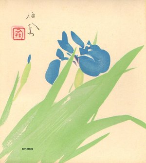 Takeuchi, Seiho: Iris - Asian Collection Internet Auction