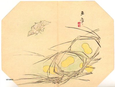 川端玉章: Moths and cocoons - Asian Collection Internet Auction