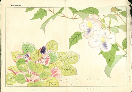 Not signed: Floral - Asian Collection Internet Auction