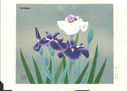 TOYOKAZU: Iris - Asian Collection Internet Auction