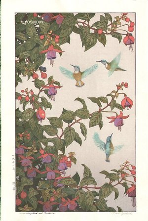 Yoshida Toshi: Hummingbird and Fushsia - Asian Collection Internet Auction