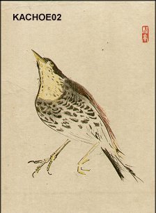 Japanese Print "Meadow lark" by Keishun