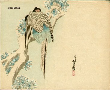 Hasegawa Sadanobu III: Pheasant in snow - Asian Collection Internet Auction