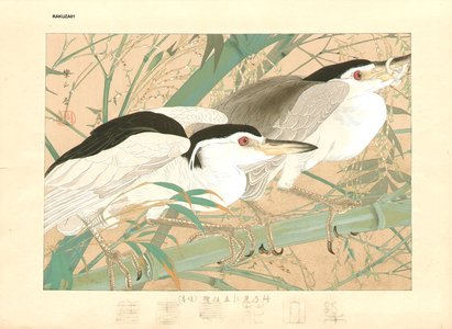 Tsuchiya, Rakuzan: Night Herons and Bamboo - Asian Collection Internet Auction