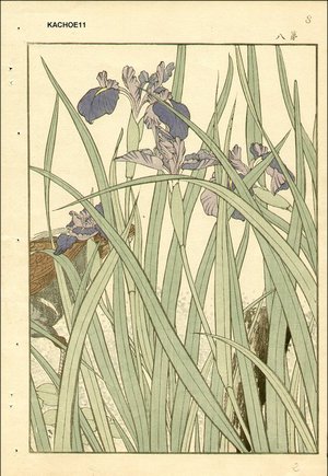 今尾景年: Keinen's Book of Birds and Flowers - Asian Collection Internet Auction