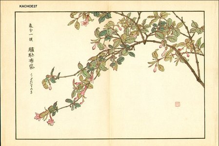 Kose, Shoseki: Lunicera gracilipes (honeysuckle) - Asian Collection Internet Auction