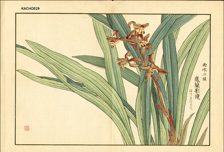 Kose, Shoseki: Orchid - Asian Collection Internet Auction