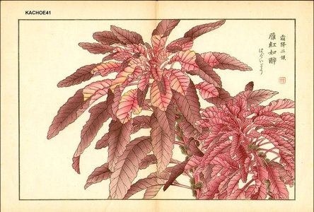 Kose, Shoseki: Amaranthus - Asian Collection Internet Auction