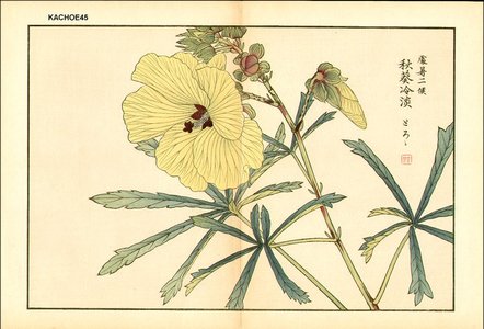 Kose, Shoseki: Abelmoschus (Hibiscus) - Asian Collection Internet Auction