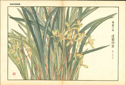 Kose, Shoseki: Orchid - Asian Collection Internet Auction