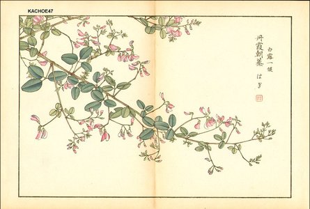 Kose, Shoseki: Bush clover - Asian Collection Internet Auction