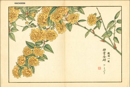 Kose, Shoseki: Japanese Yellow Rose - Asian Collection Internet Auction