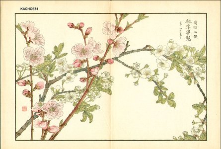 Kose, Shoseki: Plum and cherry - Asian Collection Internet Auction