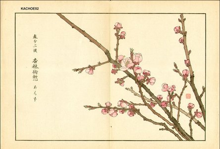 Kose, Shoseki: ANZU (apricot tree) - Asian Collection Internet Auction