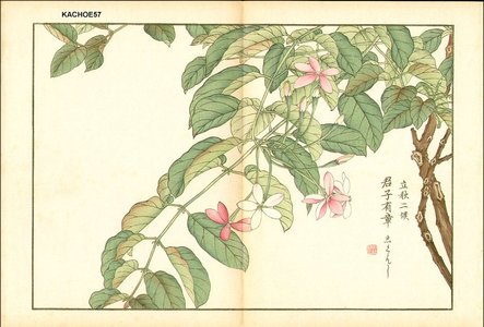 Kose, Shoseki: Floral - Asian Collection Internet Auction