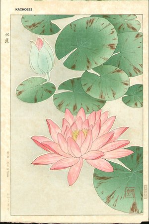 Kawarazaki, Shodo: Red waterlily - Asian Collection Internet Auction