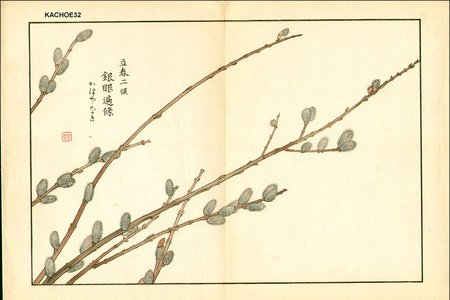 Kose, Shoseki: Salix (willow) - Asian Collection Internet Auction