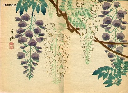 Unknown: Wisteria - Asian Collection Internet Auction