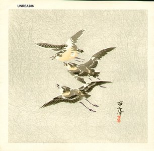 Unread: Birds in flight - Asian Collection Internet Auction