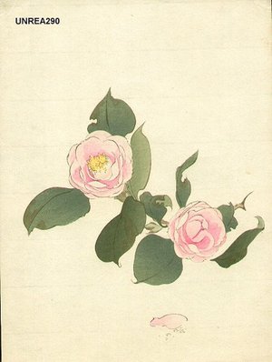 Not signed: Camellias - Asian Collection Internet Auction