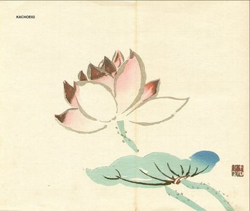 無款: Lotus flower - Asian Collection Internet Auction