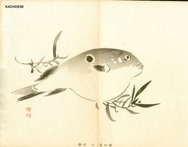 無款: Blow fish - Asian Collection Internet Auction