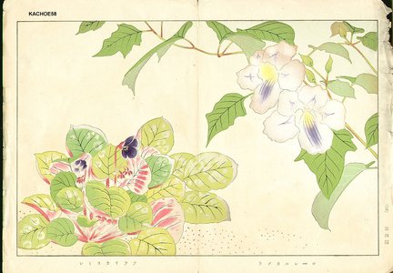 Not signed: Floral - Asian Collection Internet Auction