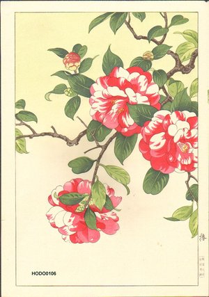 Nishimura, Hodo: Camellia - Asian Collection Internet Auction