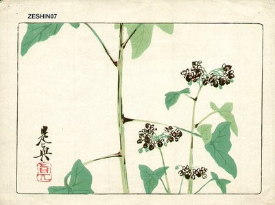 Shibata Zeshin: Floral - Asian Collection Internet Auction