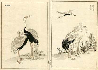 Kono Bairei: Cranes, diptych - Asian Collection Internet Auction