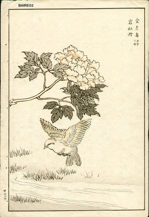 Kono Bairei: Bird and crysanthemum - Asian Collection Internet Auction