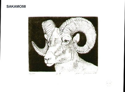 Sakamoto, Koichi: YAGI (goat) - Asian Collection Internet Auction