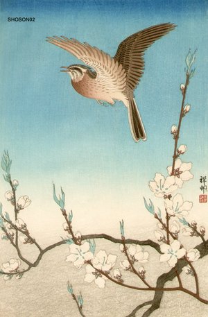 Shoson Ohara: Skylark and flowering peach - Asian Collection Internet Auction